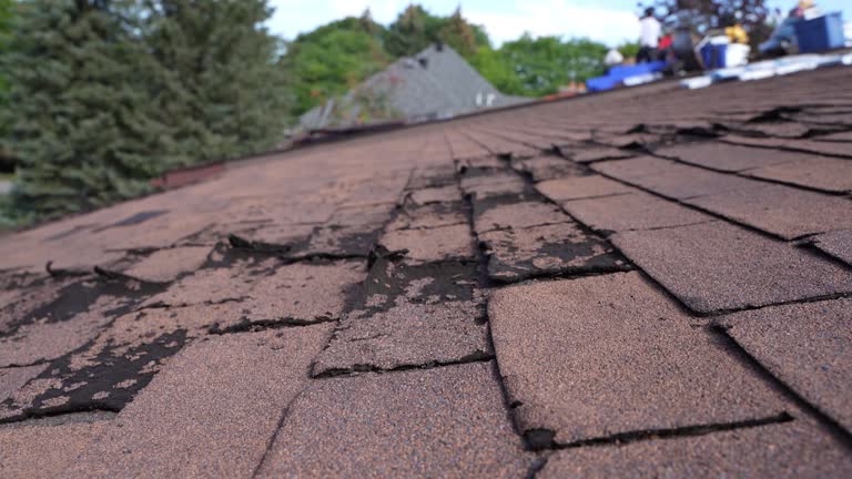 Best Steel Roofing  in Claypool Hill, VA